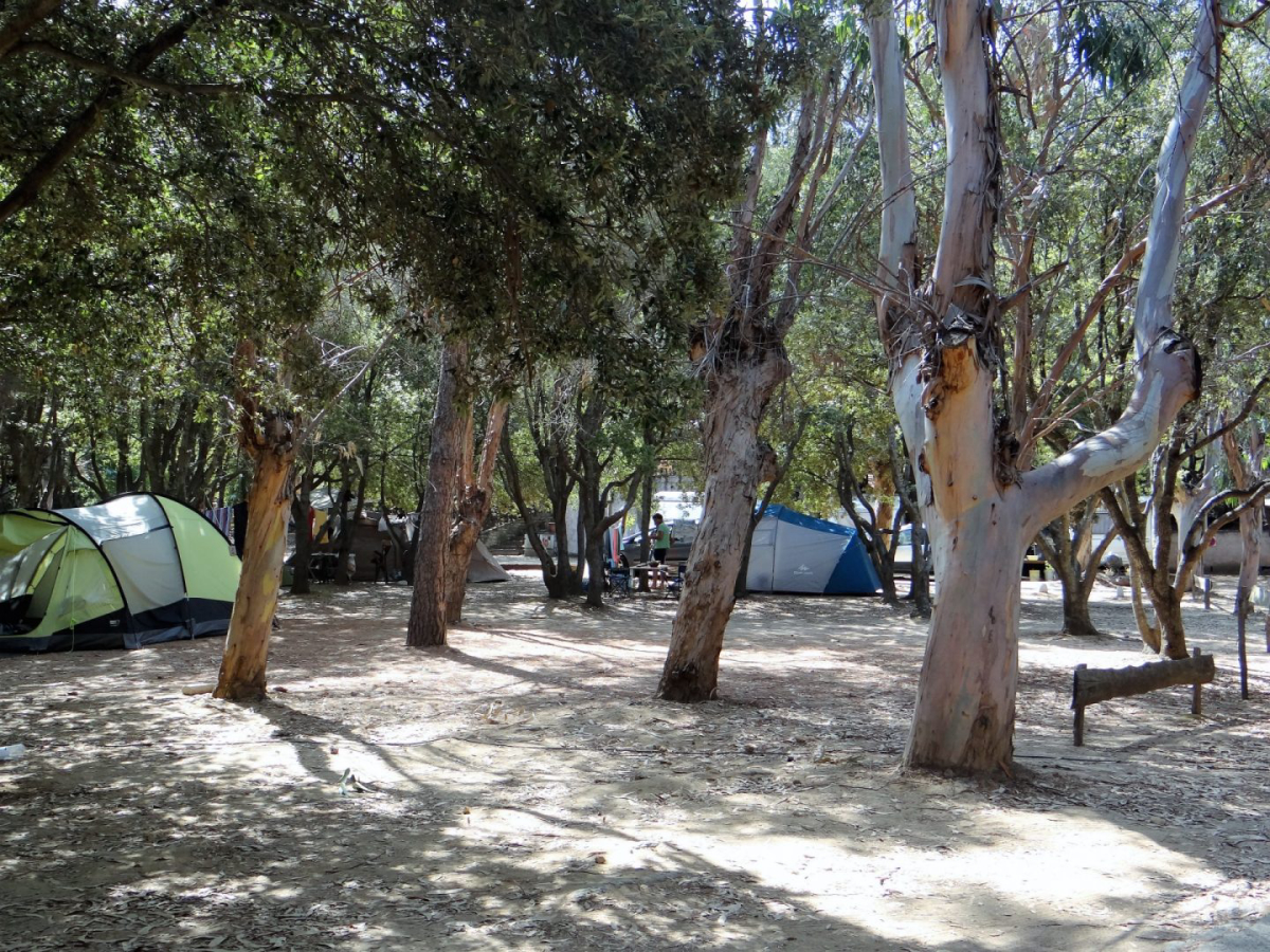 A Stella Corsica - Farinole visuel 2/4