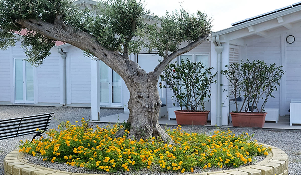 Agricampeggio Alessandra Sicilia - Torrenova visuel 1/2