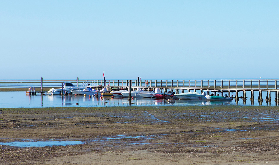 Al Bosco Friuli-Venezia Giulia - Grado visuel 2/3