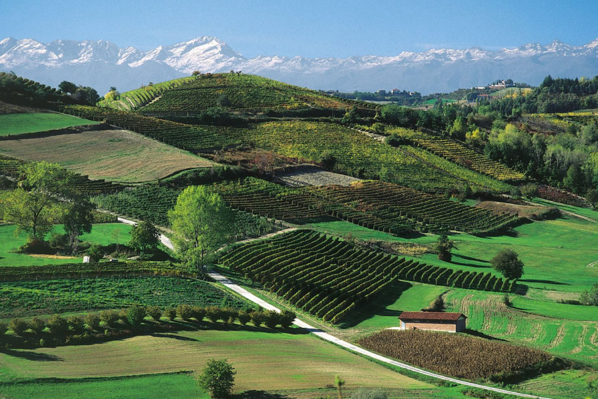 Alba Village Piemonte - Alba visuel 8/9