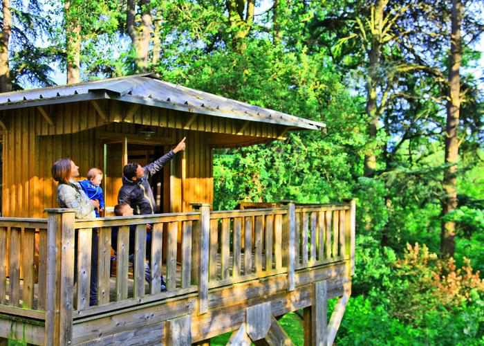 Albirondack Park Lodge & Spa Midi-Pirenei - Albi visuel 4/15 Albirondack Park Lodge & Spa Midi-Pirenei - Albi visuel 4/15