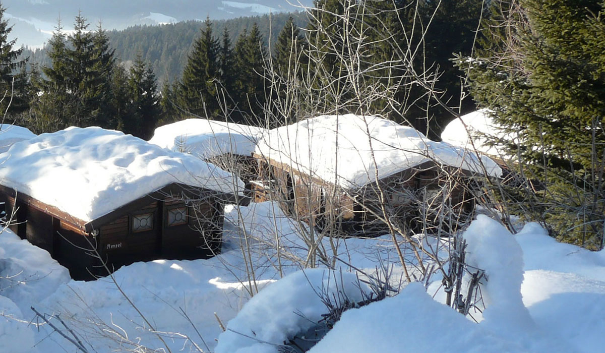 Alpenferien Park Carinzia - Kirchbach visuel 3/3