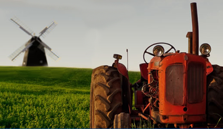 Am See Meclemburgo-Pomerania Anteriore - alt schwerin visuel 3/3 Am See Meclemburgo-Pomerania Anteriore - alt schwerin visuel 3/3