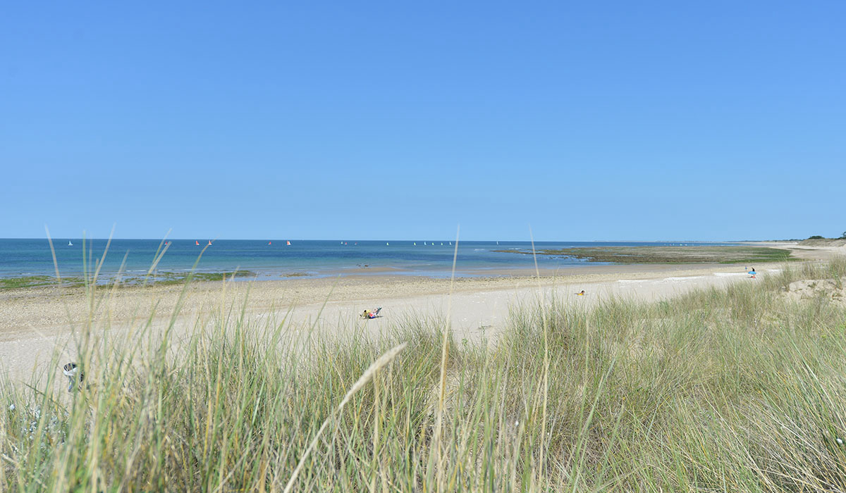 Antioche Poitou-Charentes - Le Bois-Plage-en-Ré visuel 11/22