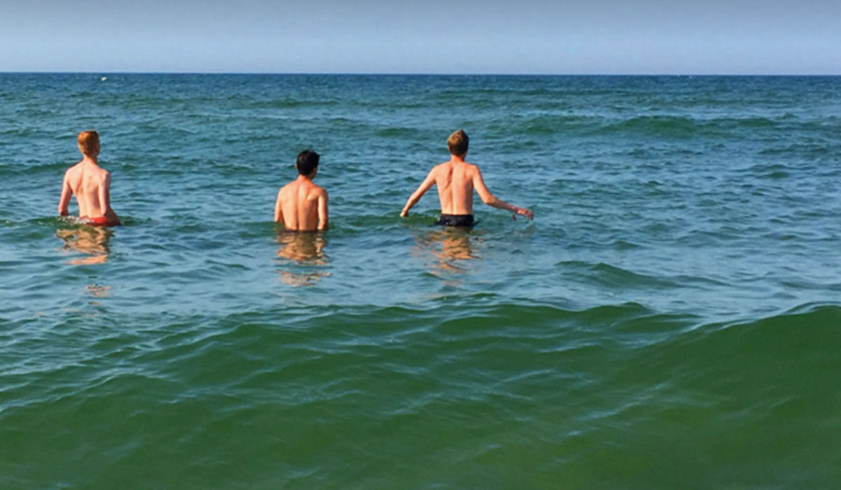 Appelhof Frisia - Terschelling visuel 3/3