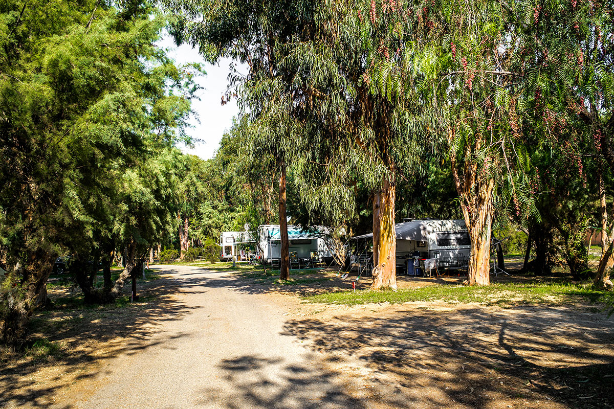 Arinella Bianca Corsica - Ghisonaccia visuel 17/17