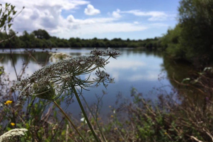 Au Pré de l'Etang Paesi della Loira - Sainte-Foy visuel 3/6 Au Pré de l'Etang Paesi della Loira - Sainte-Foy visuel 3/6