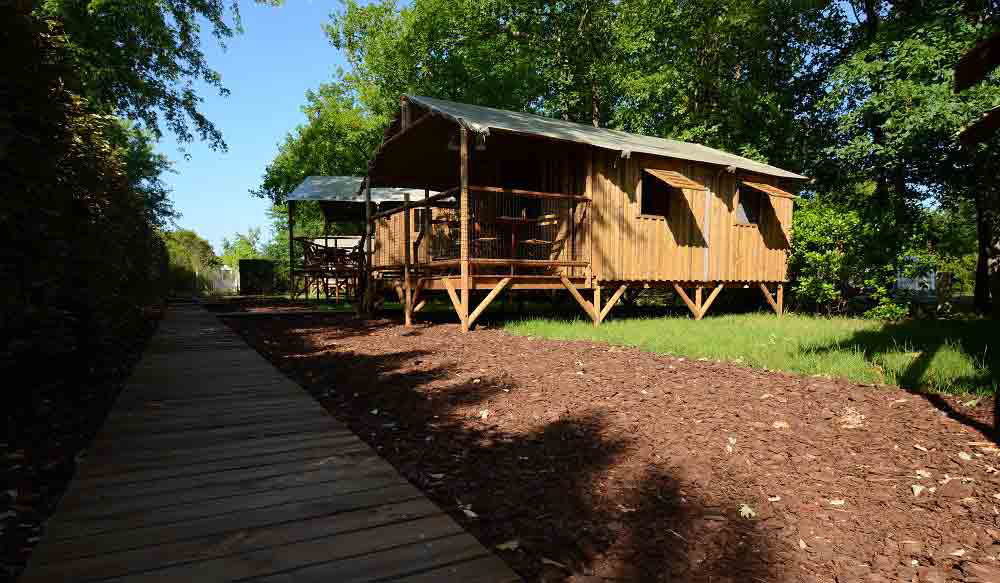 Aux Couleurs du Ferret Aquitania - Lège Cap Ferret visuel 3/7 Aux Couleurs du Ferret Aquitania - Lège Cap Ferret visuel 3/7