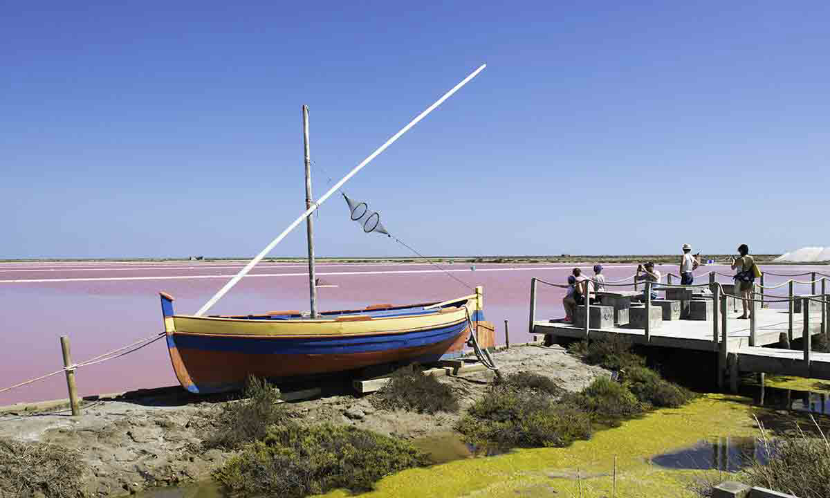 Barberousse Linguadoca-Rossiglione - Gruissan visuel 3/12 Barberousse Linguadoca-Rossiglione - Gruissan visuel 3/12