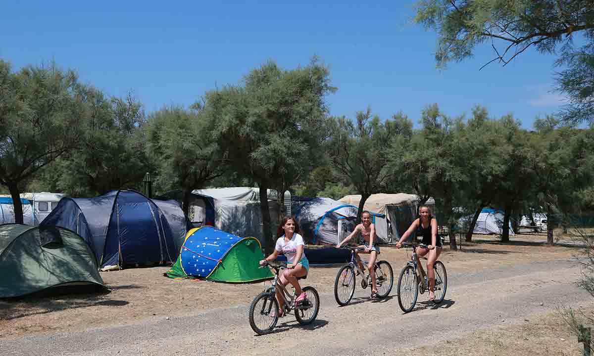 Barberousse Linguadoca-Rossiglione - Gruissan visuel 10/12 Barberousse Linguadoca-Rossiglione - Gruissan visuel 10/12