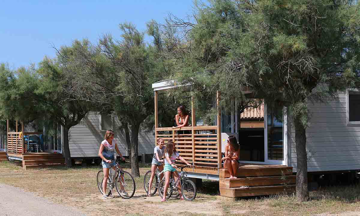 Barberousse Linguadoca-Rossiglione - Gruissan visuel 8/12 Barberousse Linguadoca-Rossiglione - Gruissan visuel 8/12