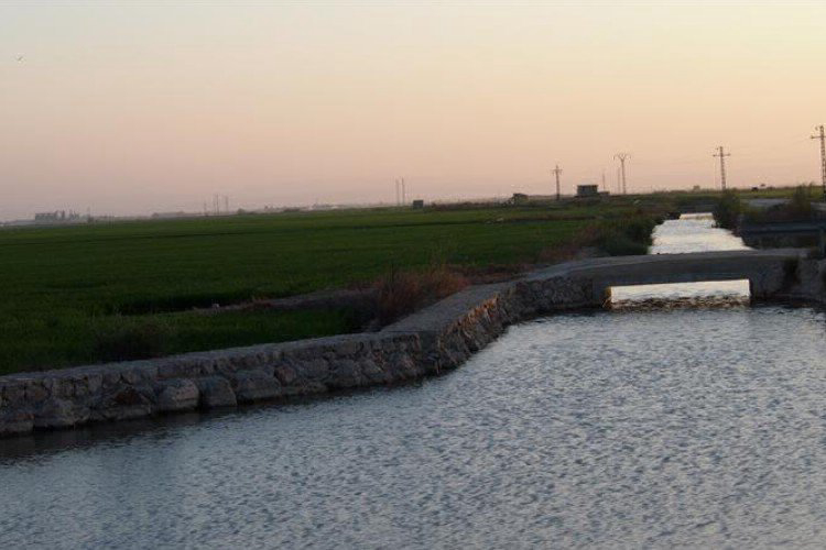 Barraquetes Comunità Valenciana - Sueca visuel 4/4