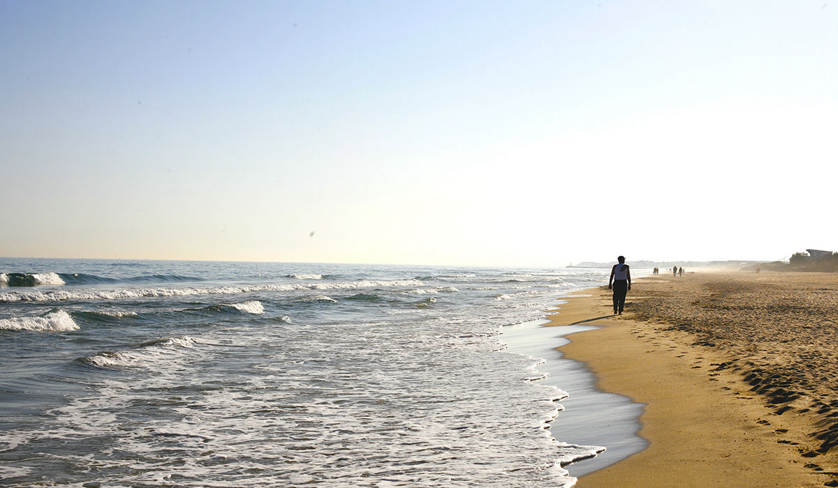 Beauregard Plage Linguadoca-Rossiglione - Marseillan visuel 2/8