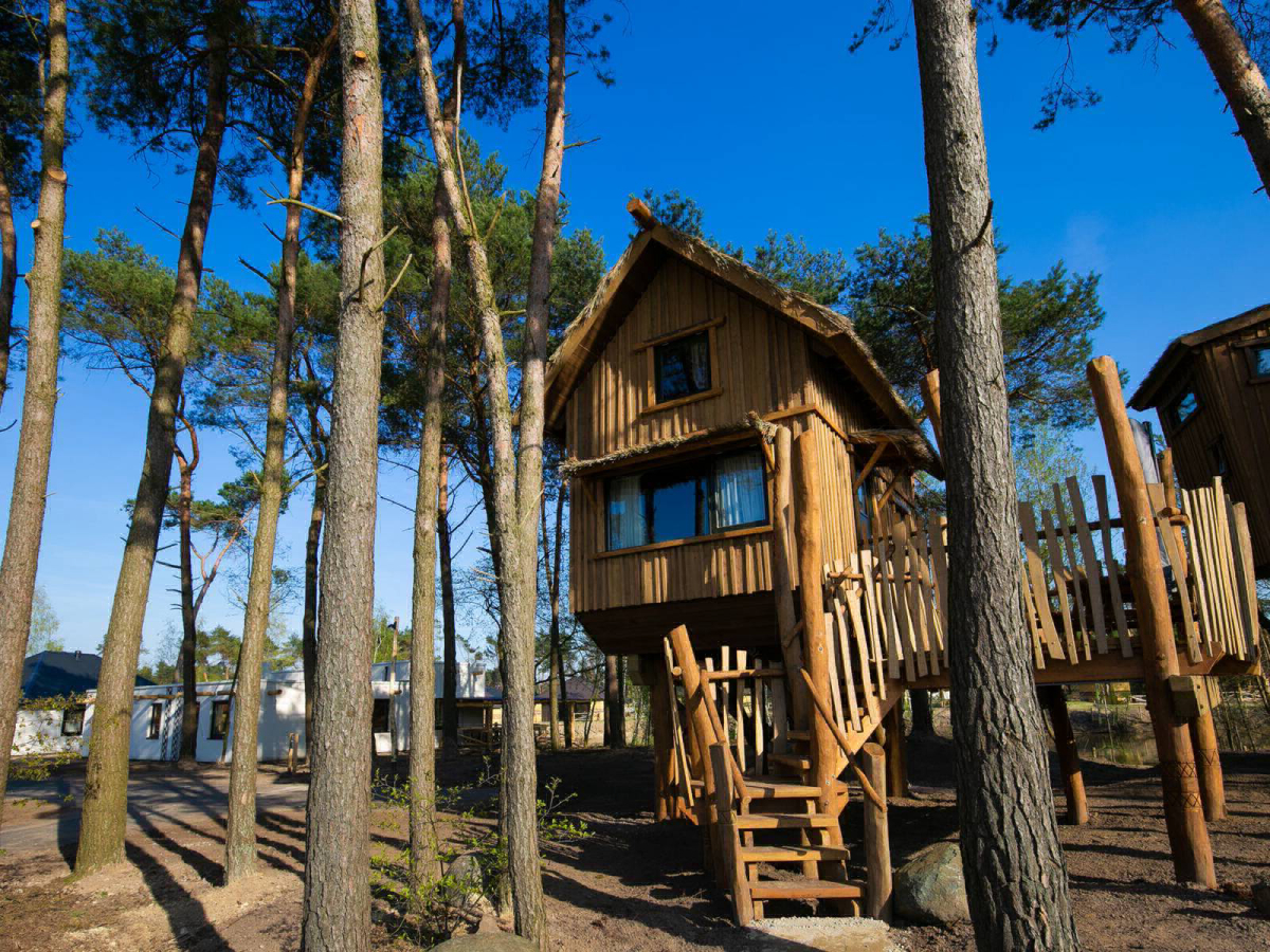 Beekse Bergen Brabante Settentrionale - Hilvarenbeek visuel 5/7