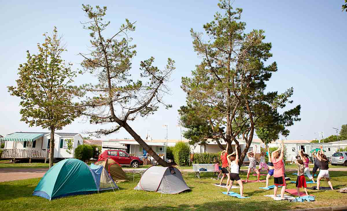 Bel Air Paesi della Loira - L'Aiguillon-sur-Mer visuel 9/19 Bel Air Paesi della Loira - L'Aiguillon-sur-Mer visuel 9/19