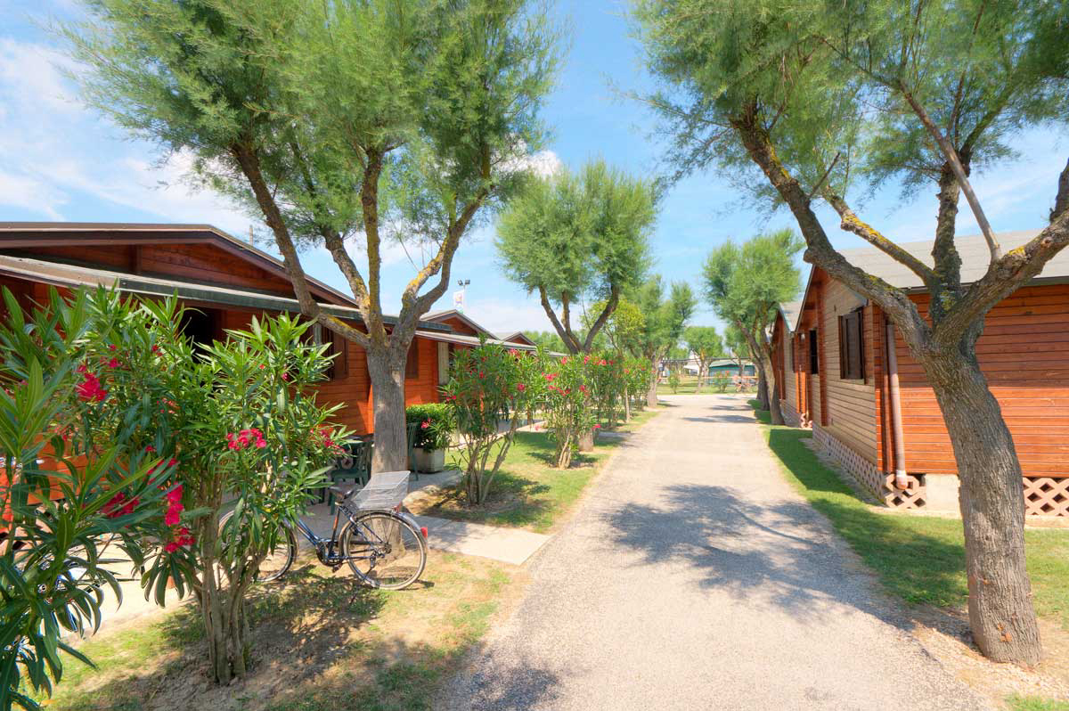 Bellamare Marche - Porto Recanati visuel 3/3