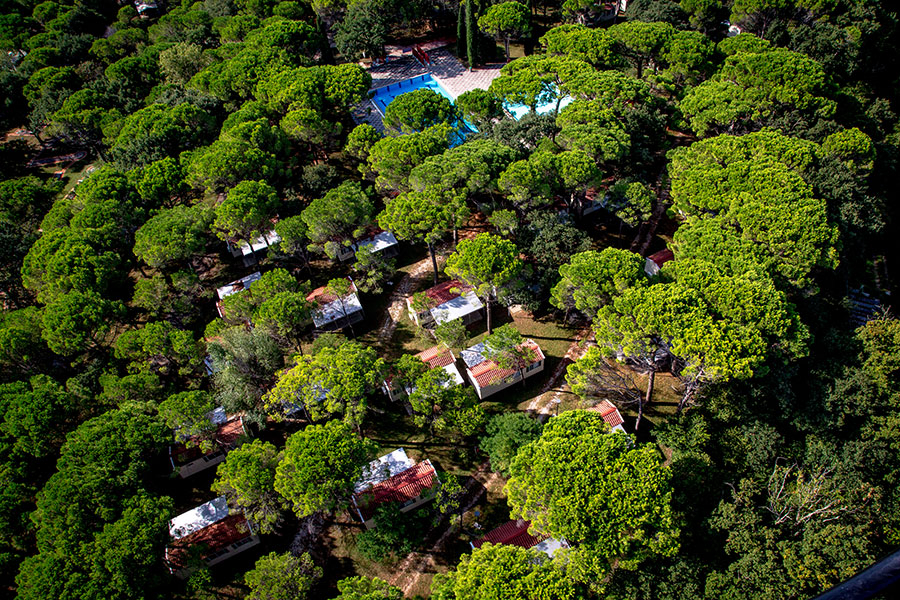 Belvedere Pineta Veneto - Grado visuel 5/11