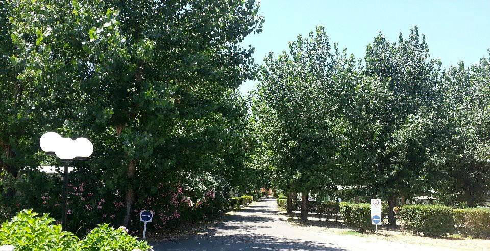 Benista Corsica - Porticcio visuel 6/10