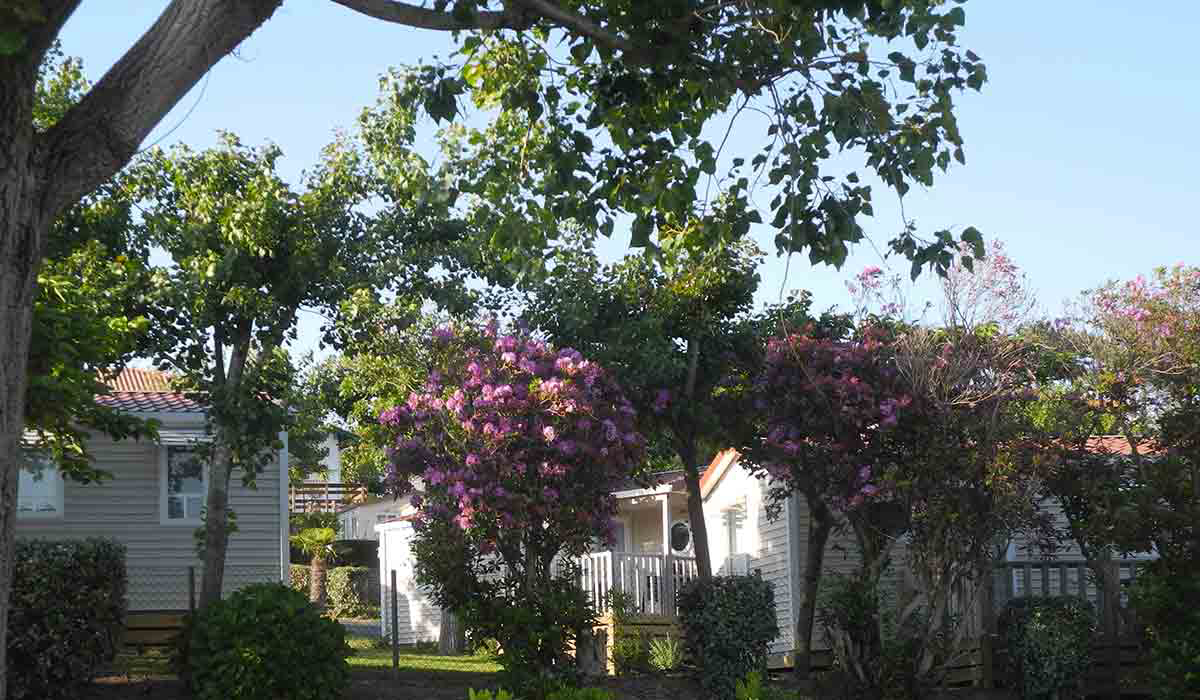 Biarritz Camping Aquitania - Biarritz visuel 2/10