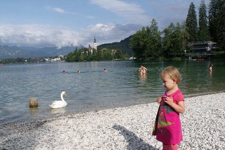 Camping Bled Alta Carniola - Bled visuel 5/10