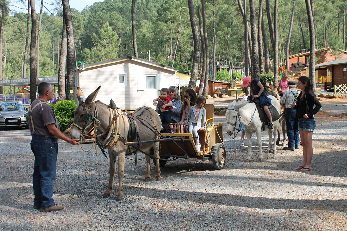 Bois Simonet Rodano-Alpi - Joyeuse visuel 7/23