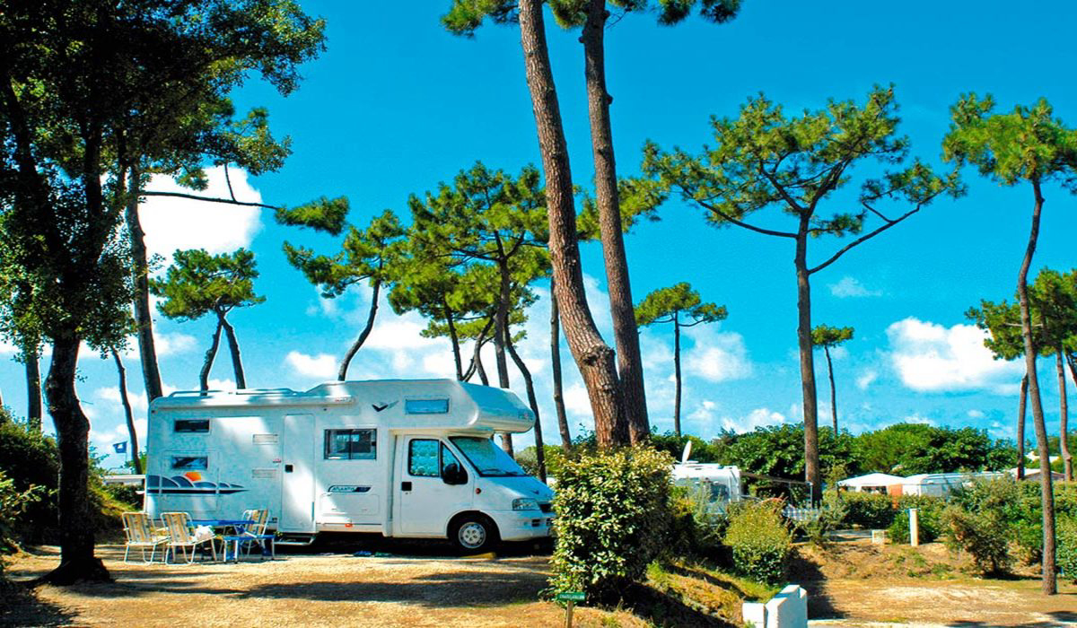 Bois Soleil Poitou-Charentes - Saint-Georges-de-Didonne visuel 6/9