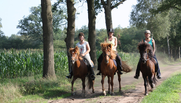 Borken am See Renania Settentrionale-Vestfalia - borken visuel 5/6 Borken am See Renania Settentrionale-Vestfalia - borken visuel 5/6