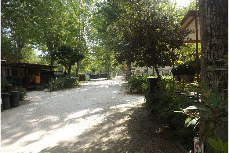 Bosco Verde Toscana - Torre del Lago Puccini visuel 2/11 Bosco Verde Toscana - Torre del Lago Puccini visuel 2/11