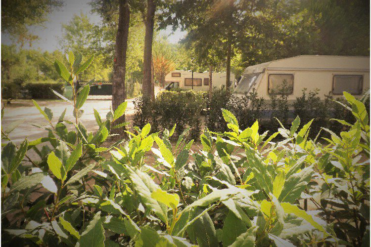 Bosco Verde Toscana - Torre del Lago Puccini visuel 5/11 Bosco Verde Toscana - Torre del Lago Puccini visuel 5/11