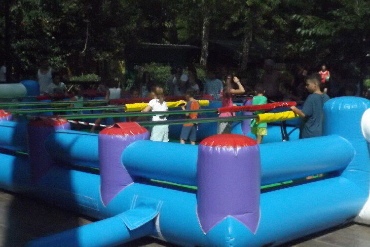 Bosco Verde Toscana - Torre del Lago Puccini visuel 3/11 Bosco Verde Toscana - Torre del Lago Puccini visuel 3/11