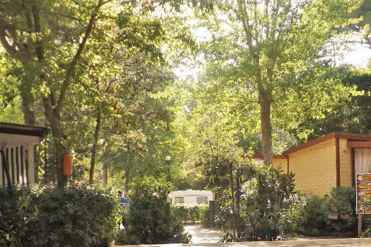 Bosco Verde Toscana - Torre del Lago Puccini visuel 8/11 Bosco Verde Toscana - Torre del Lago Puccini visuel 8/11