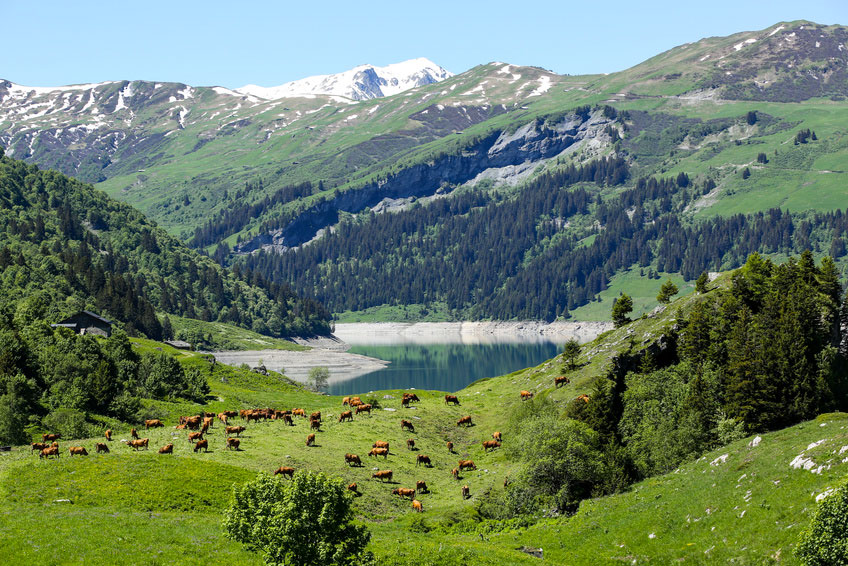 Bourg Saint Maurice Rodano-Alpi - Bourg-Saint-Maurice visuel 1/1