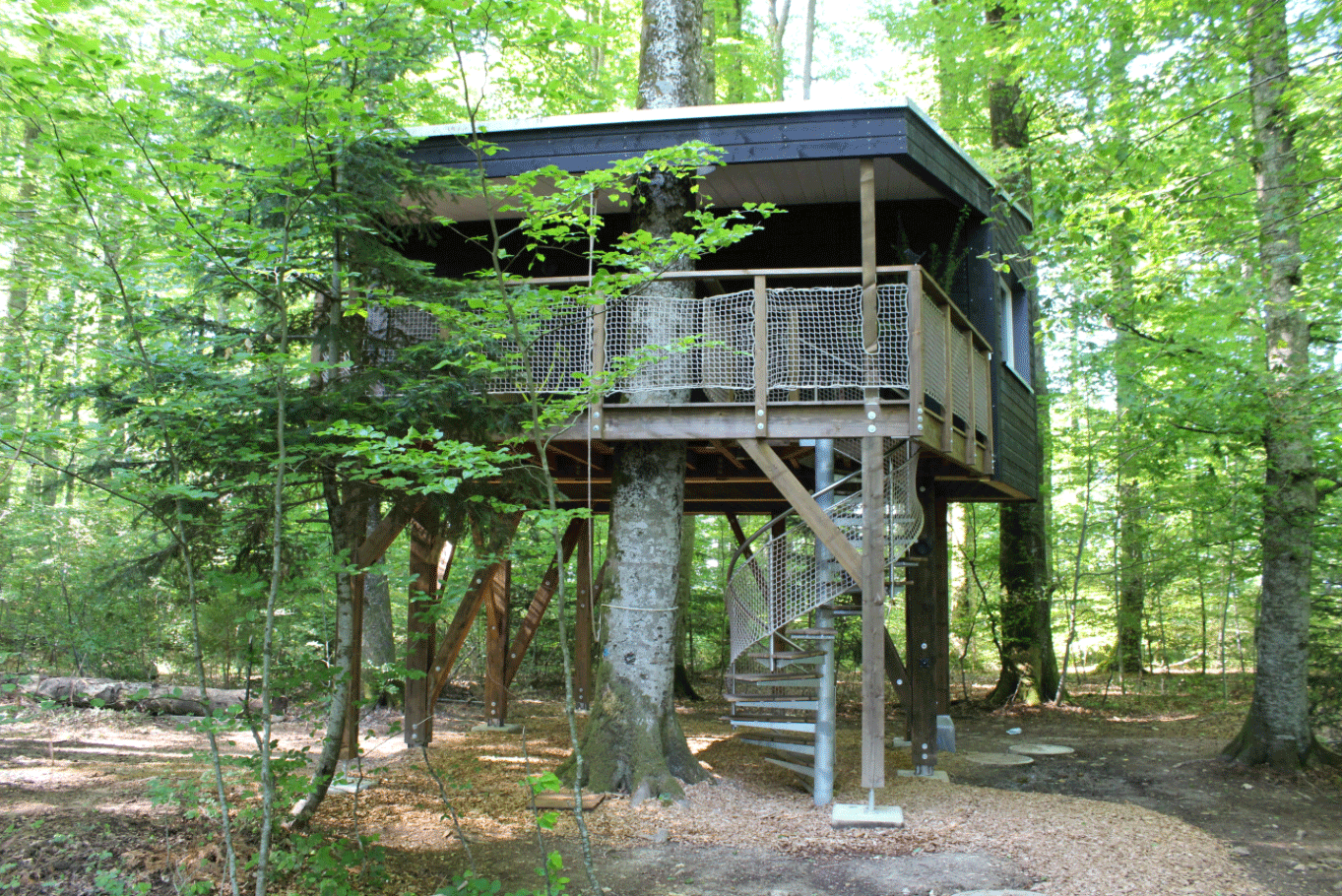 Cabanes du Mont Svizzera nordoccidentale - Coeuve visuel 1/1