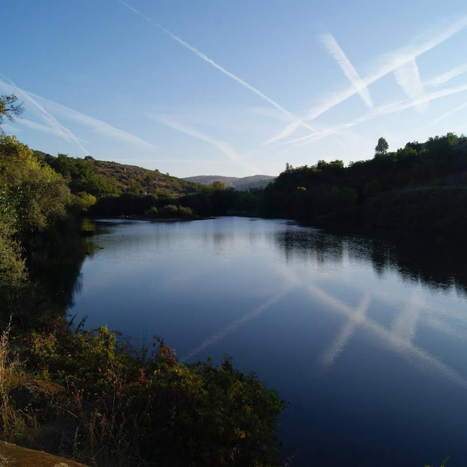 Café Rio Côa Centro - Almeida visuel 2/3