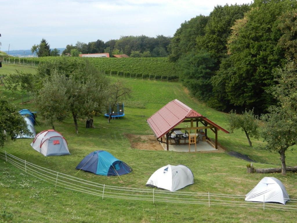 Camp Silva Stiria - Ljutomer visuel 2/3