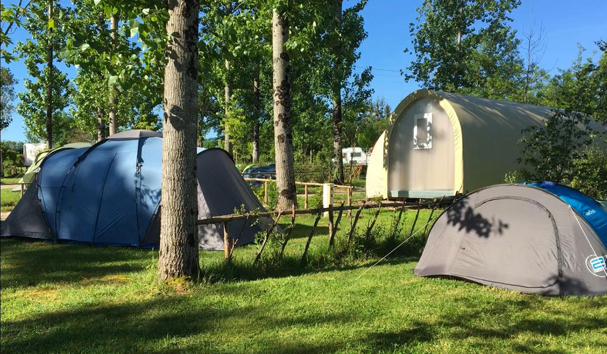 Campilô Paesi della Loira - Aubigny visuel 13/18