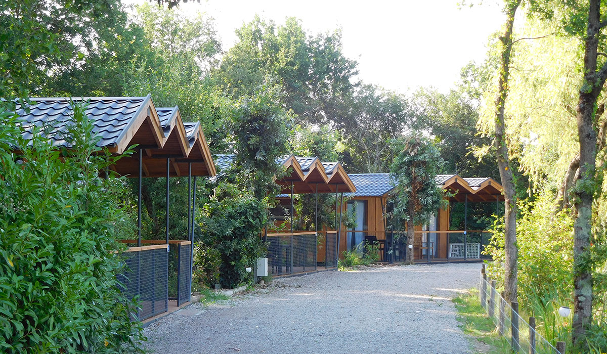 Campilô Paesi della Loira - Aubigny visuel 9/18