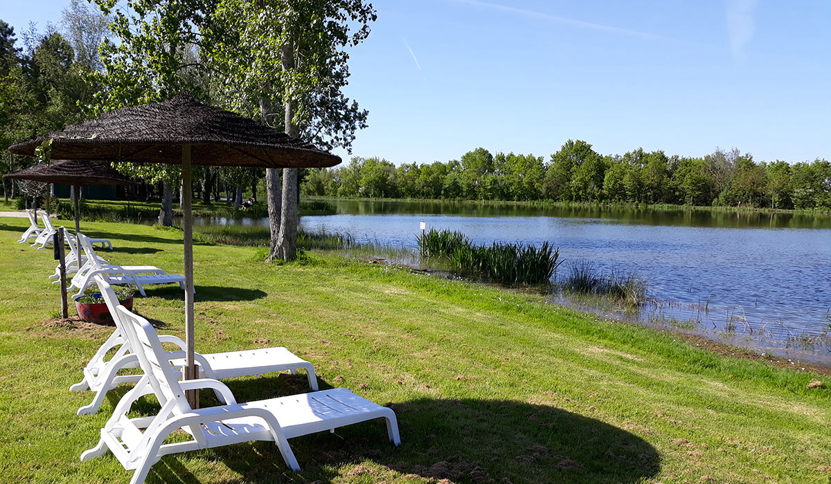 Campilô Paesi della Loira - Aubigny visuel 8/18