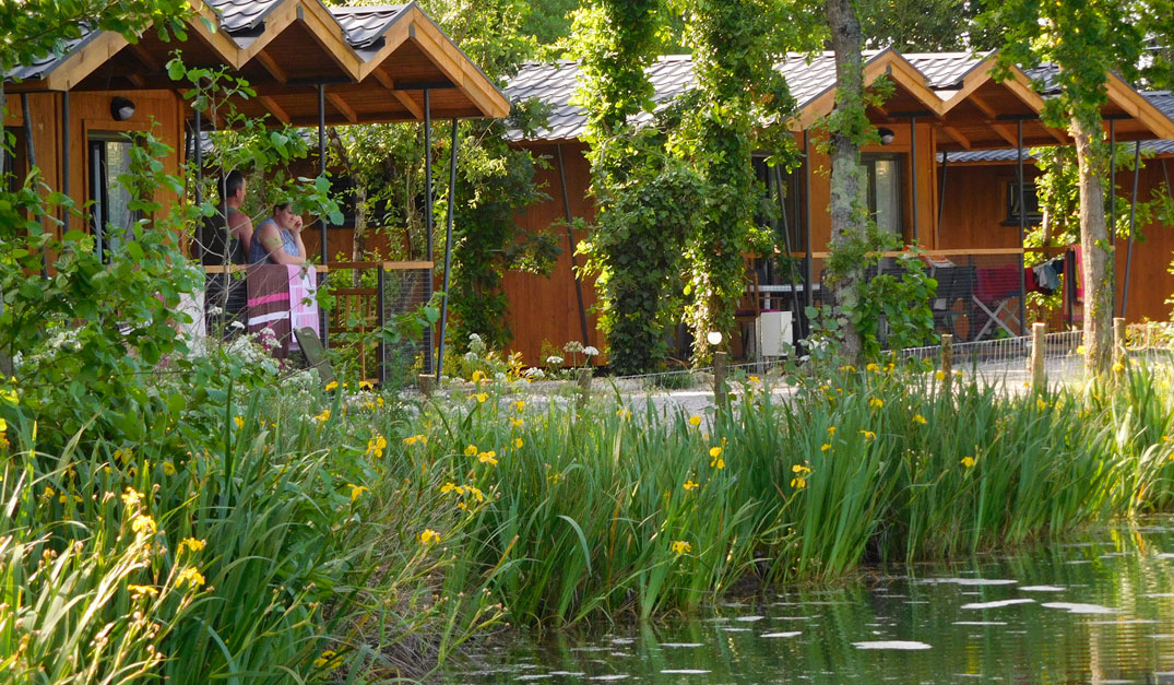 Campilô Paesi della Loira - Aubigny visuel 2/18