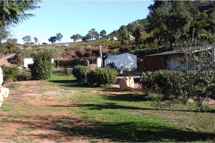 Camping A Saliva Corsica - Peri visuel 5/6