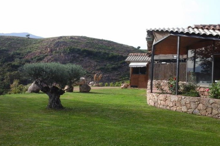 Camping A Saliva Corsica - Peri visuel 4/6