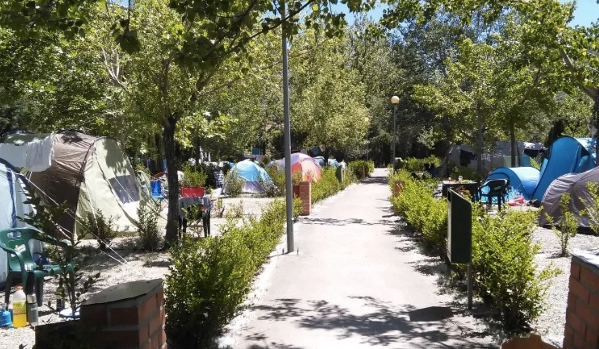 Aliaga Aragona - Aliaga visuel 1/2