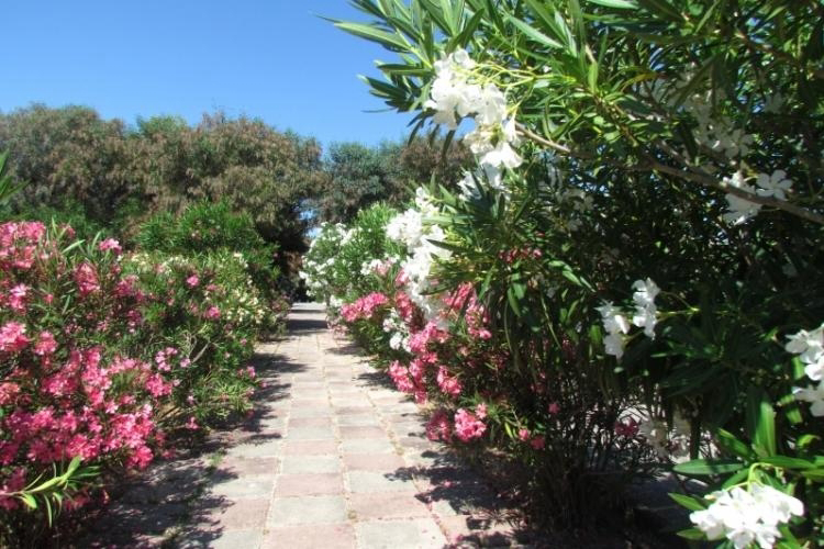 Camping Baia Paradiso Sardegna - Badesi visuel 2/3