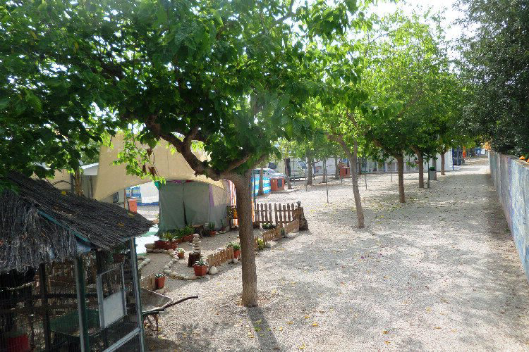 Camping Bon Sol Costa Blanca - El Campello visuel 5/6