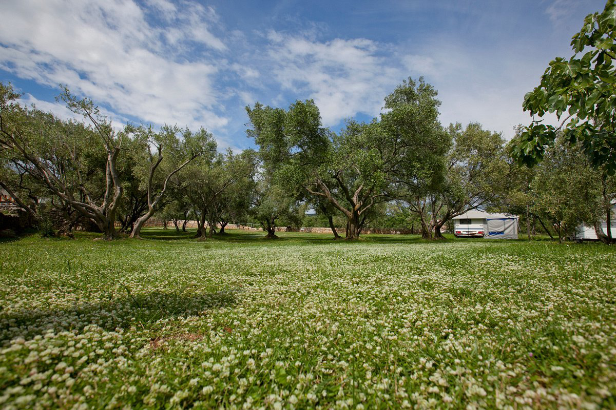 Camping Bor Regione litoraneo-montana - Krk visuel 3/3