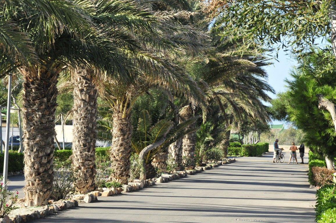 Camping Cabo de Gata Andalusia - Nijar visuel 8/11