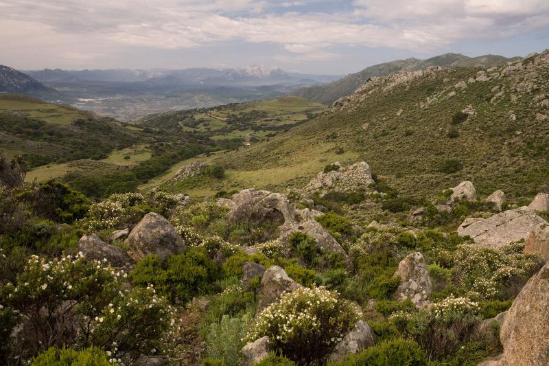 Camping Cala Ginepro Sardegna - Orosei visuel 2/3