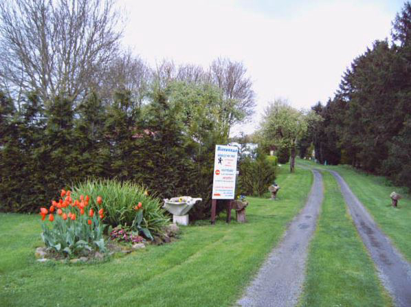 Camping De L'epinette Nord-Passo di Calais - Sauchy-Lestrée visuel 1/1 Camping De L'epinette Nord-Passo di Calais - Sauchy-Lestrée visuel 1/1