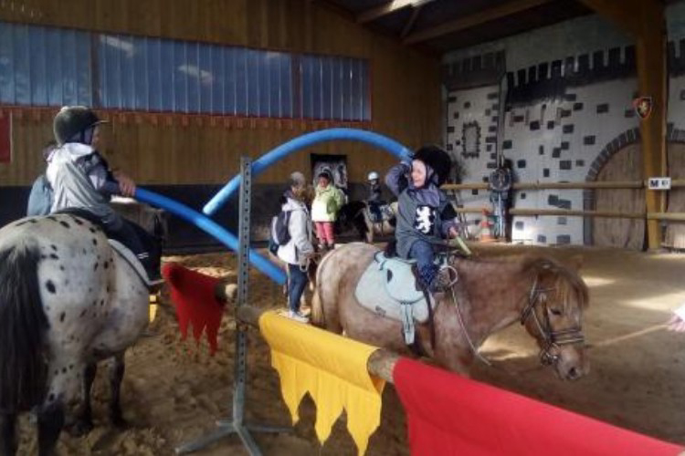 Ecurie Leseigneur Bassa Normandia - Bolleville visuel 5/6