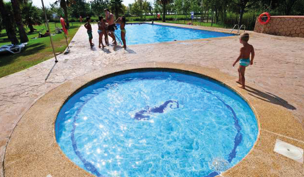 Eucaliptus Catalogna - Amposta visuel 2/3